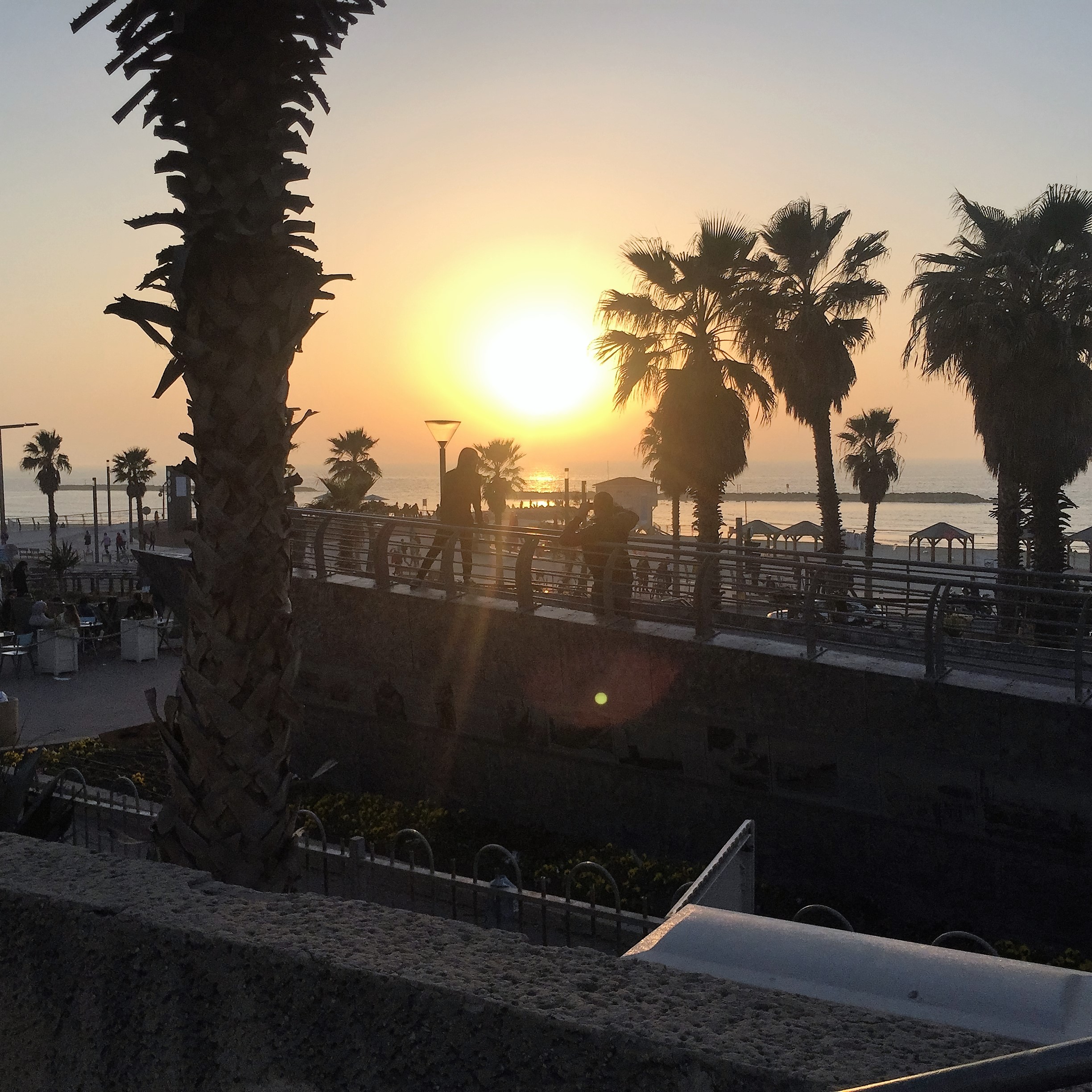 Sunset Hunting in Tel Aviv with Jeff Pulver by Mel Rosenberg - מל רוזנברג - Ourboox.com