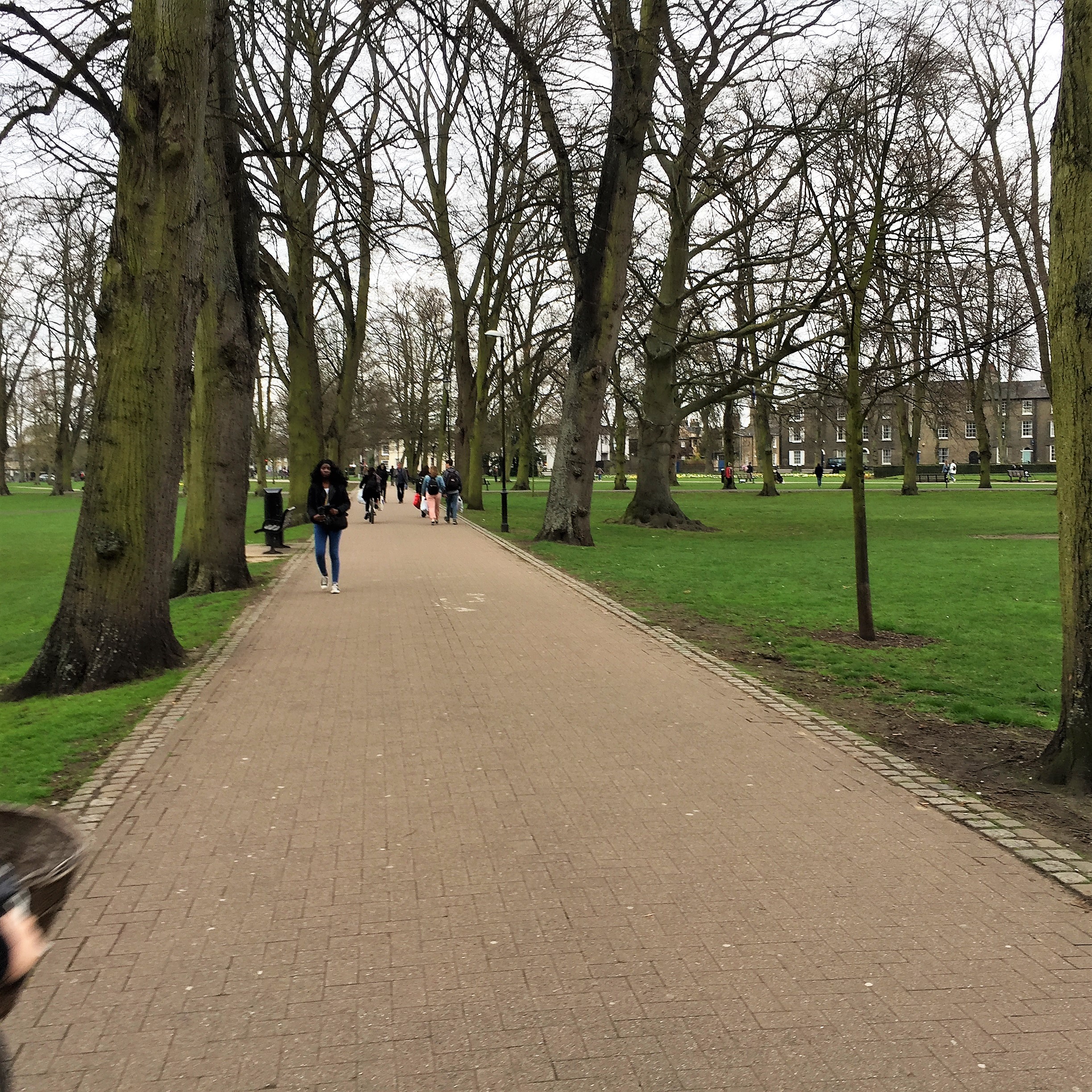 An Afternoon with Itay in Cambridge by Mel Rosenberg - מל רוזנברג - Ourboox.com