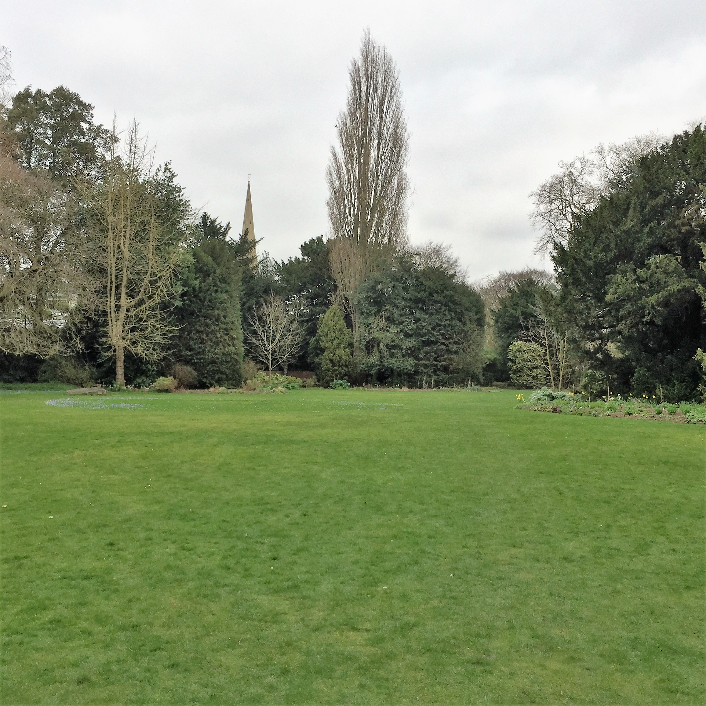 An Afternoon with Itay in Cambridge by Mel Rosenberg - מל רוזנברג - Ourboox.com