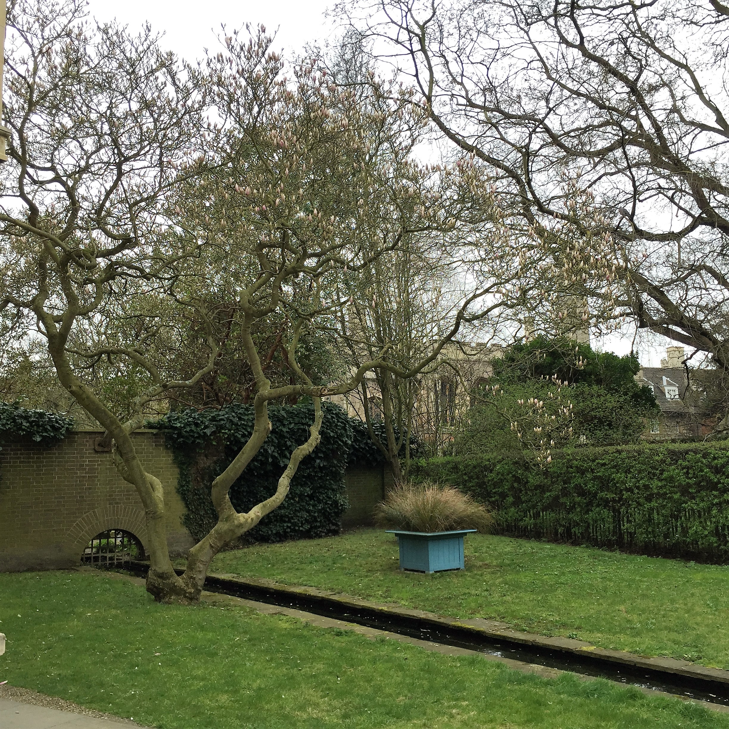 An Afternoon with Itay in Cambridge by Mel Rosenberg - מל רוזנברג - Ourboox.com