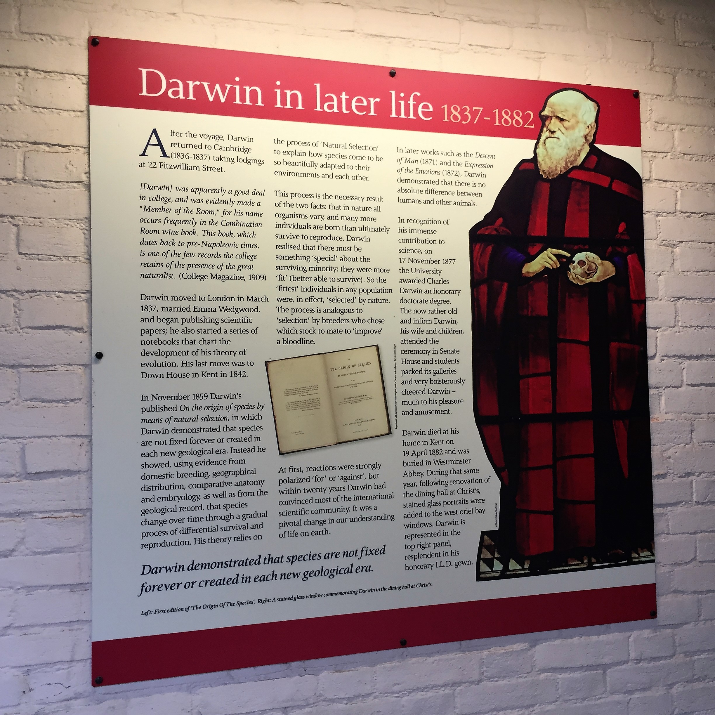 An Afternoon with Itay in Cambridge by Mel Rosenberg - מל רוזנברג - Ourboox.com