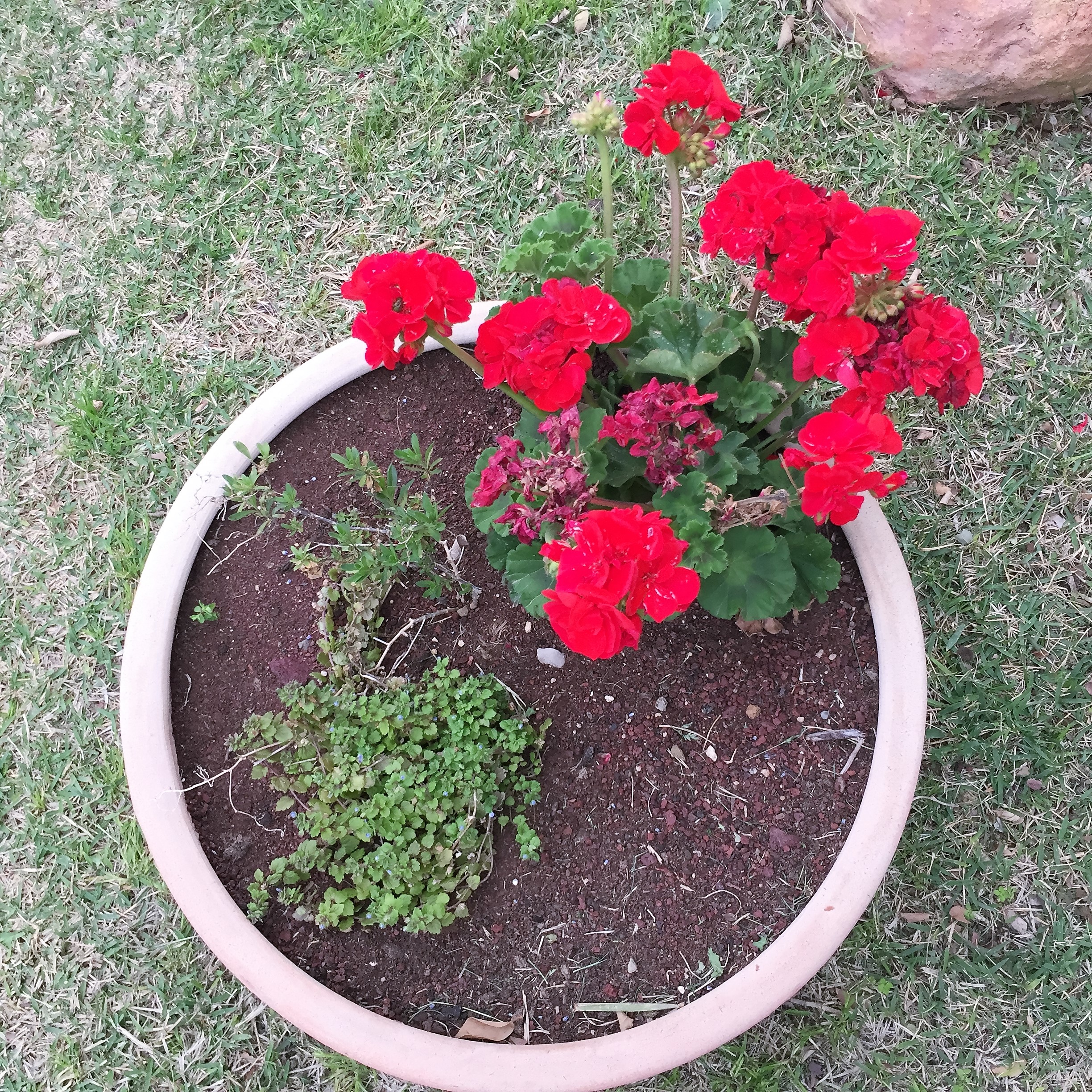 From Shlomi with Love – Hakesher Harav Dori by Mel Rosenberg - מל רוזנברג - Ourboox.com