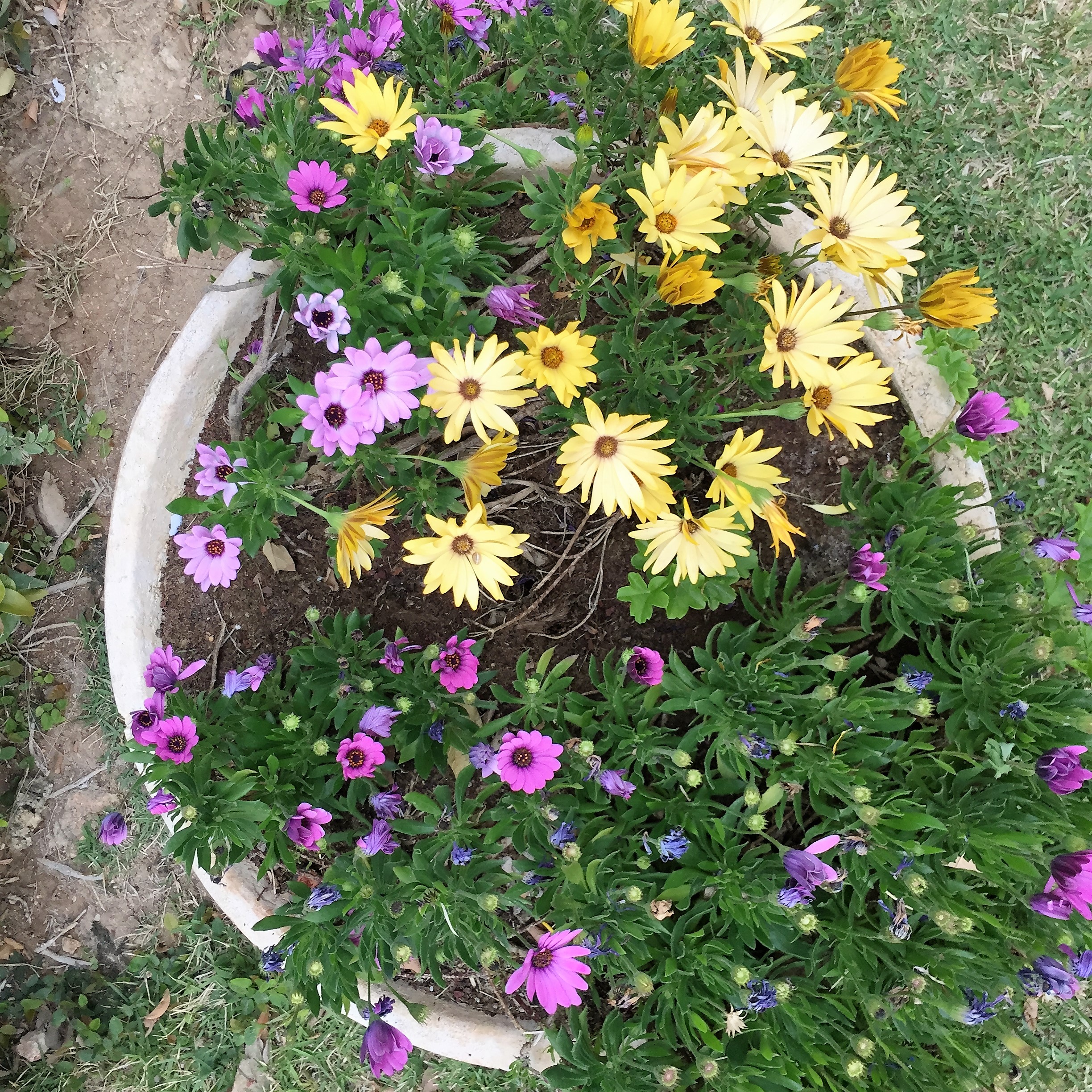 From Shlomi with Love – Hakesher Harav Dori by Mel Rosenberg - מל רוזנברג - Ourboox.com