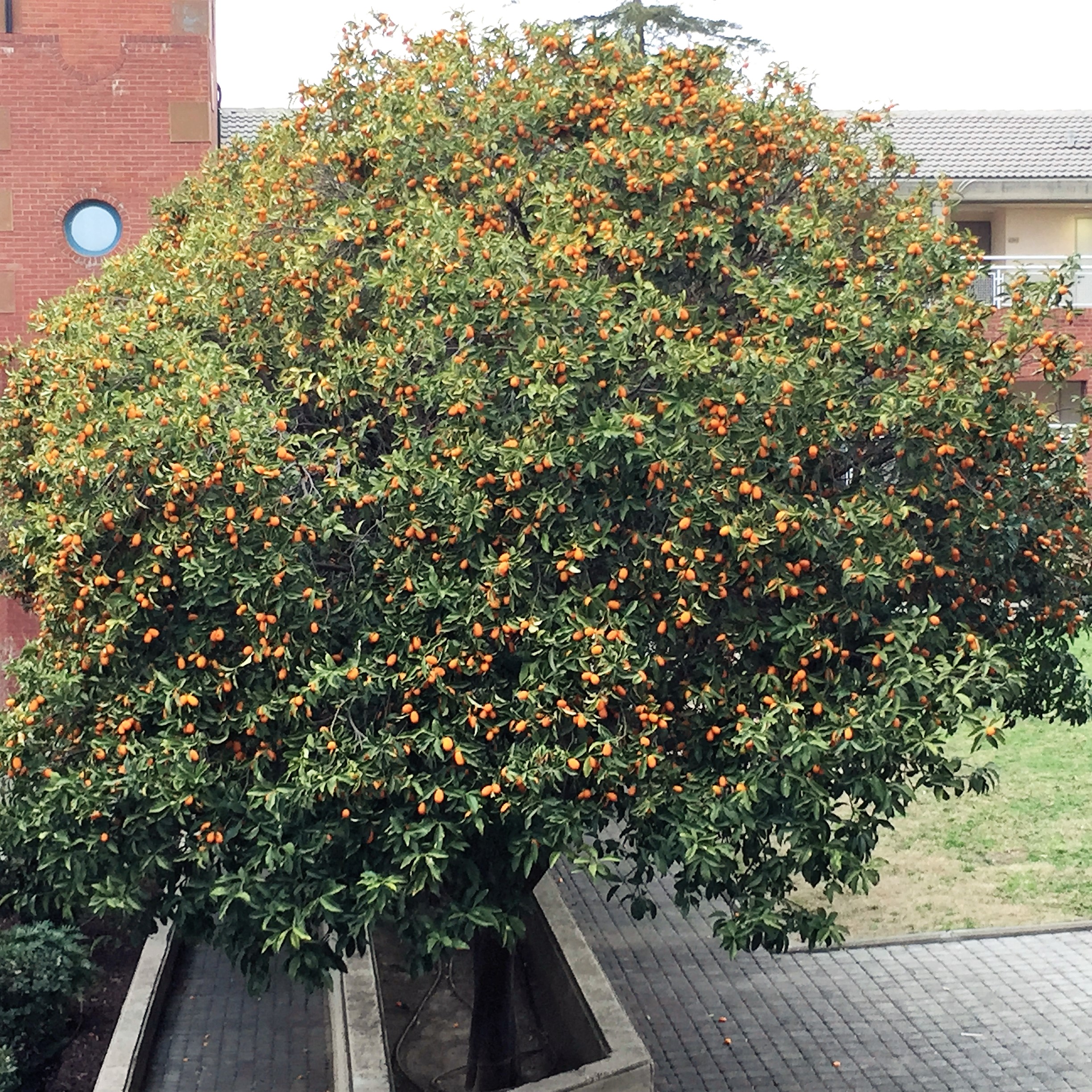 From Shlomi with Love – Hakesher Harav Dori by Mel Rosenberg - מל רוזנברג - Ourboox.com