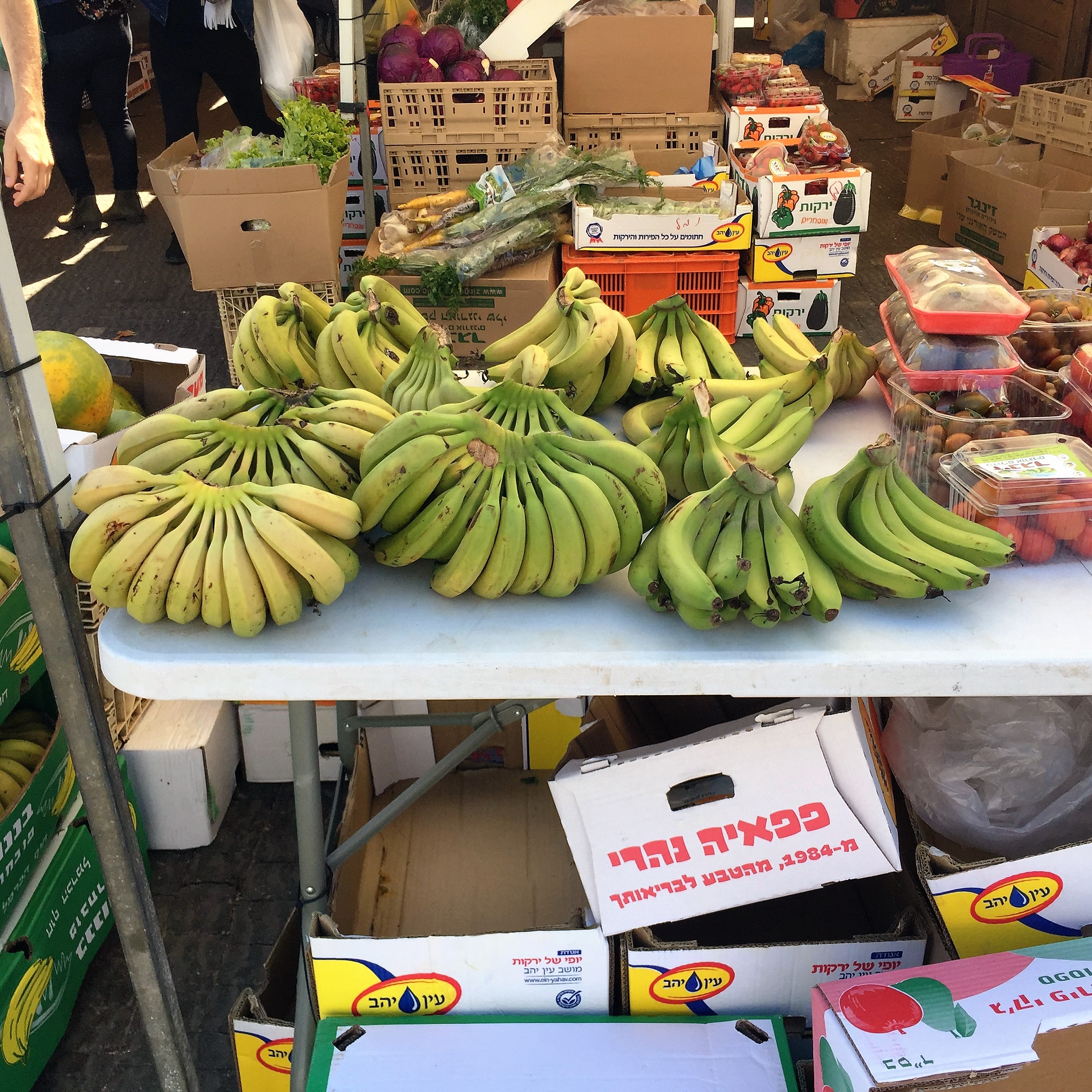 Going Bananas at Afeka College by Mel Rosenberg - מל רוזנברג - Ourboox.com