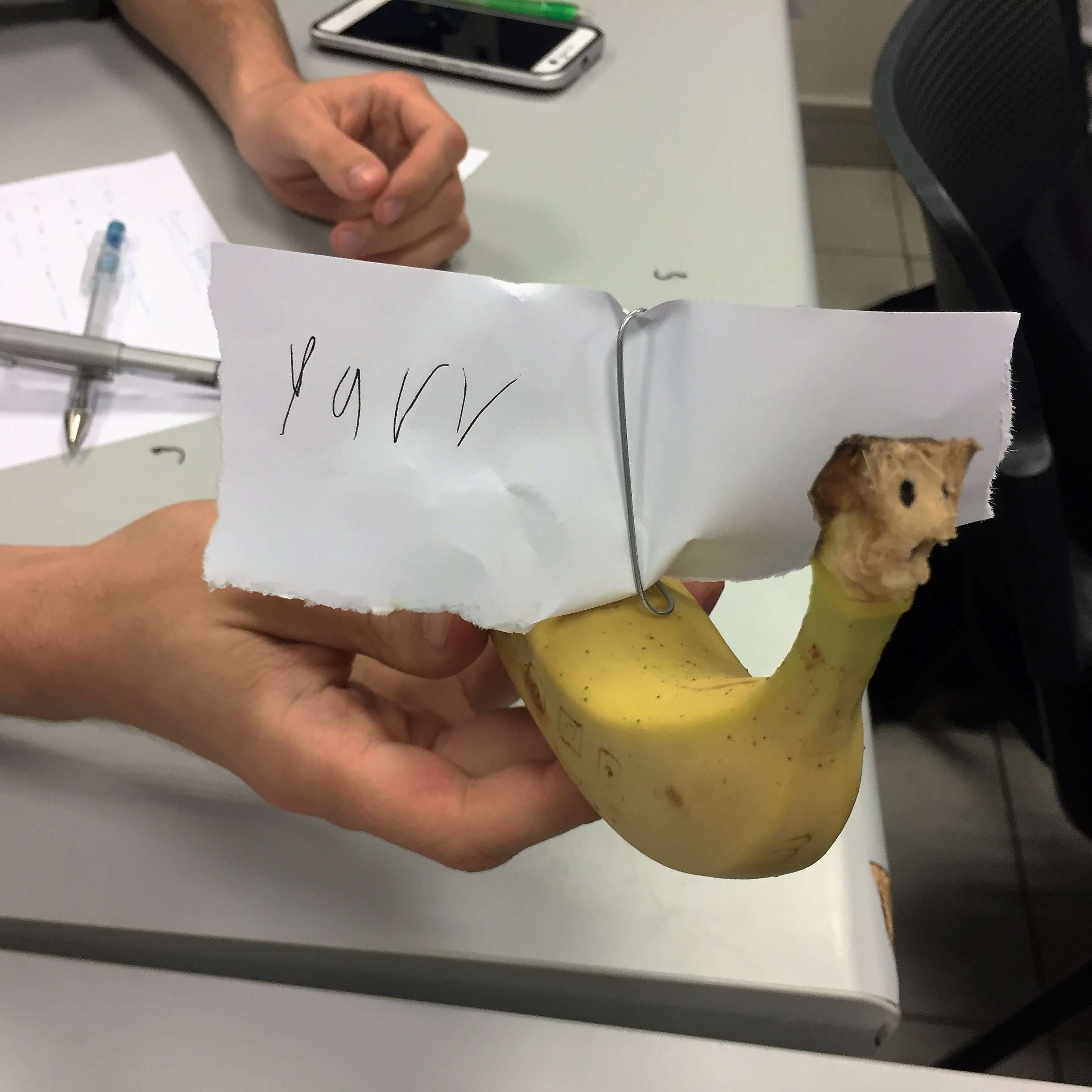Going Bananas at Afeka College by Mel Rosenberg - מל רוזנברג - Ourboox.com
