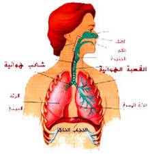 التنفس by hideya ben ammou - Ourboox.com