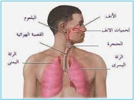 التنفس by hideya ben ammou - Ourboox.com