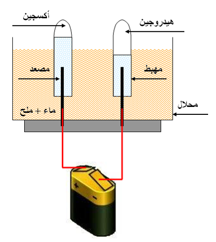 الإيقاظ العلمي by Abir Mejdoub - Ourboox.com