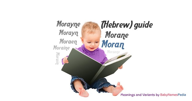 Identity Stories by Nili Amit - Ourboox.com