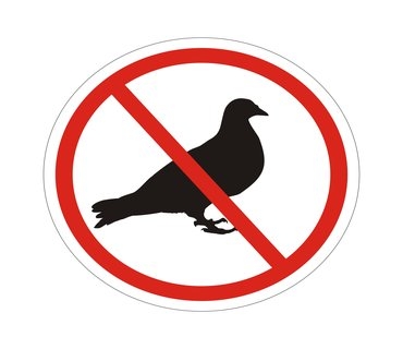 Yesh la yesh lo by Yamaya - Illustrated by The internet - Ourboox.com