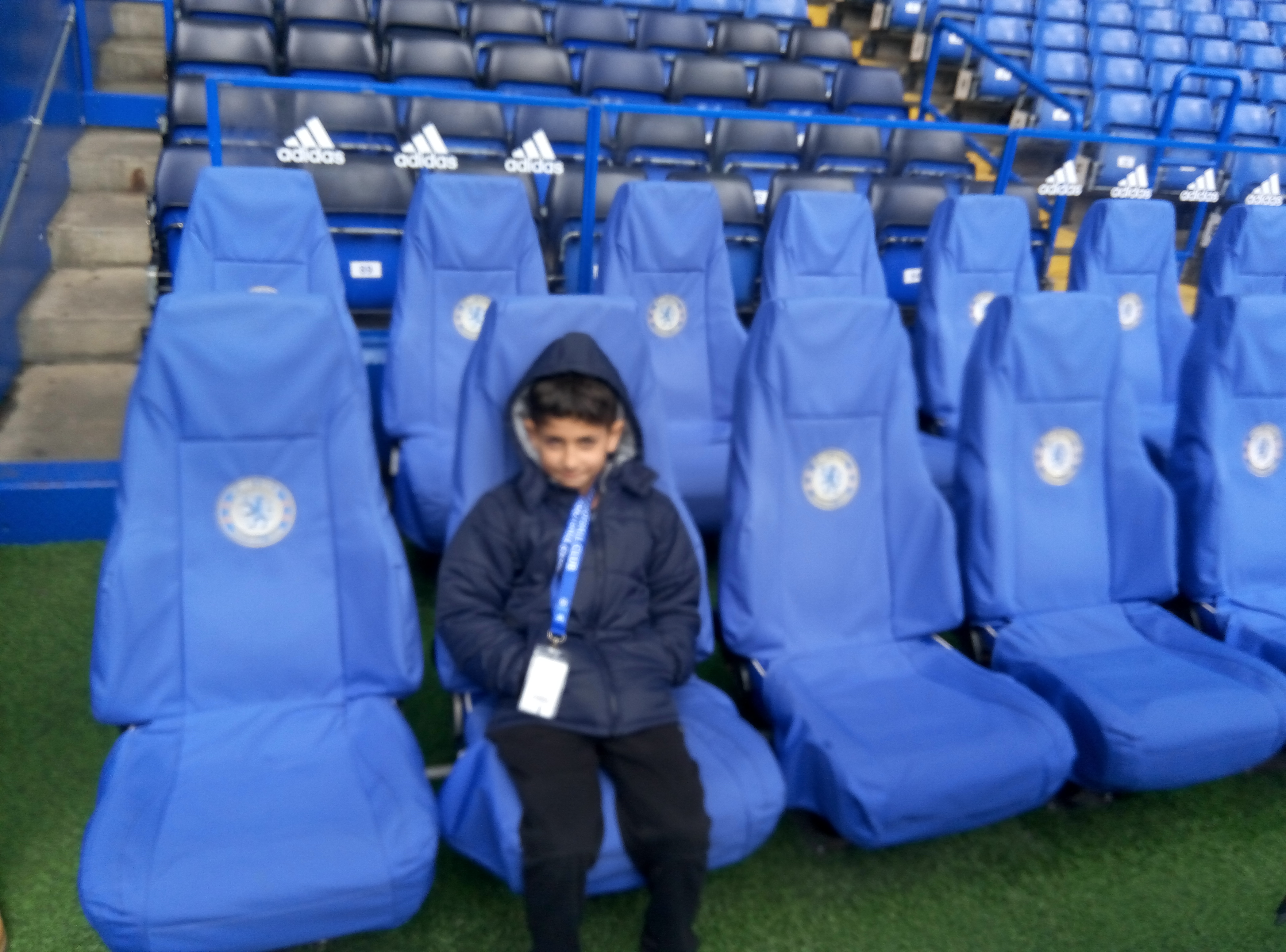 עבודת שורשים – רום שלמה by Rom Shlomo - Ourboox.com