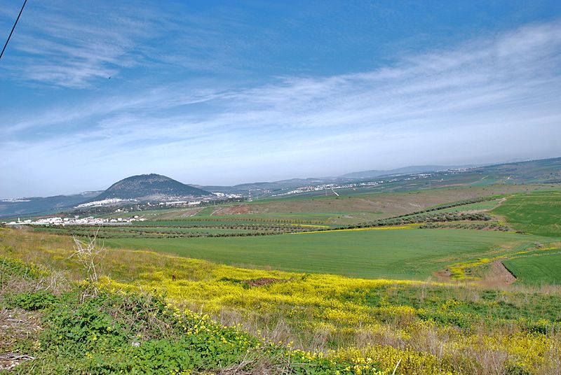 הר תבור היקר جبل الطور الغالي by arshed - Illustrated by AUOTHER - Ourboox.com