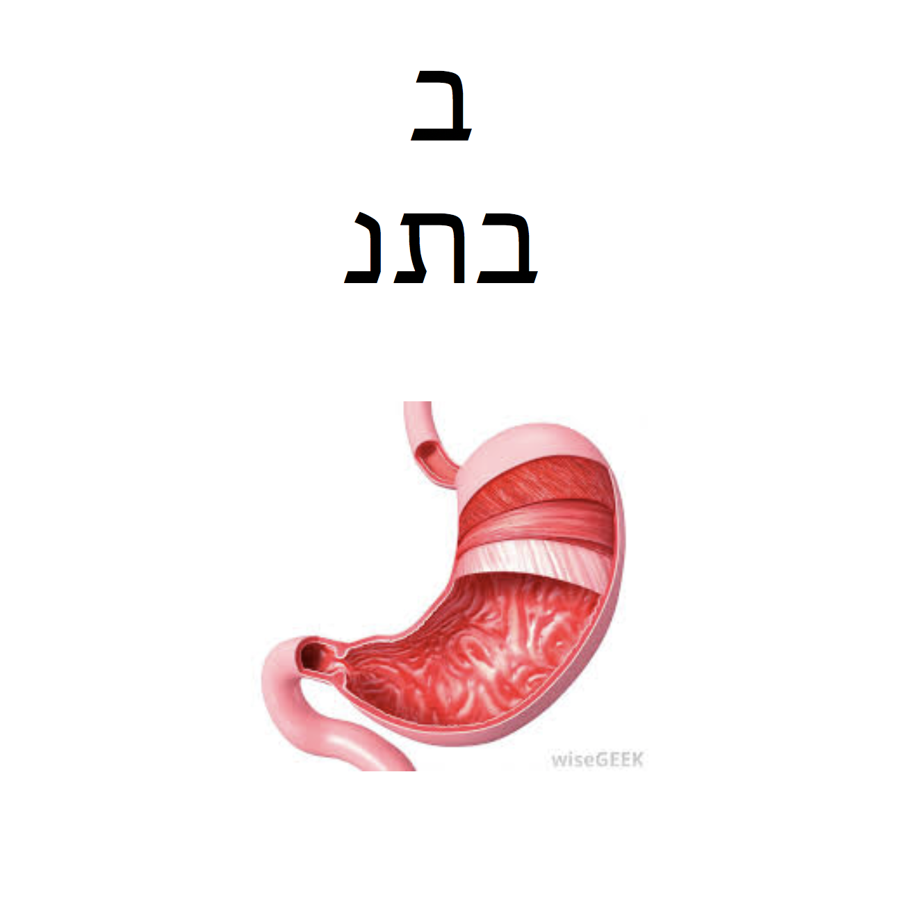 Hebrew isa by matthew farb - Illustrated by the internet  - Ourboox.com