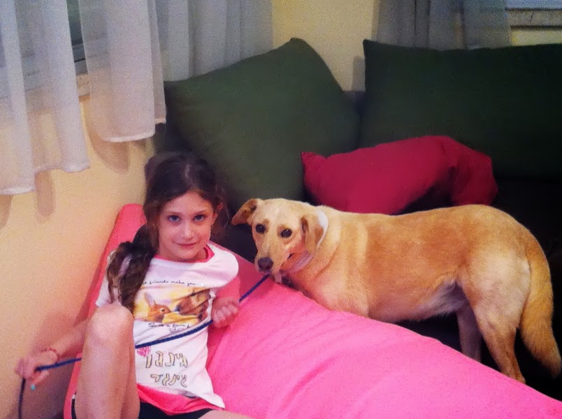 Book1 by dalit tarshish - Ourboox.com