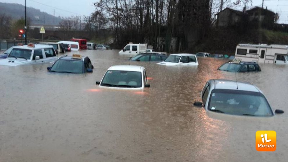 Ecologia & Pedologia by Damiano Massari - Ourboox.com