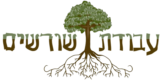 עבודת שורשים by peleghadad - Ourboox.com