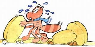 النملة و الصرصور by areeg - Ourboox.com