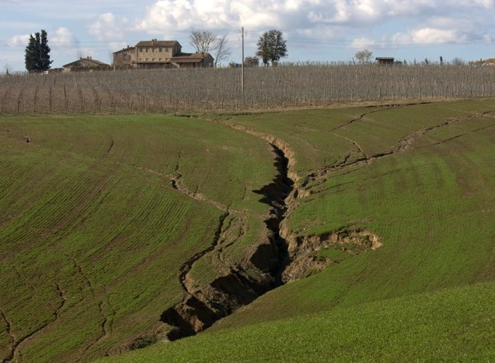 Ecologia & Pedologia by Damiano Massari - Ourboox.com