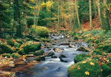 snow white parody by NICOLAS and EWEN - Ourboox.com