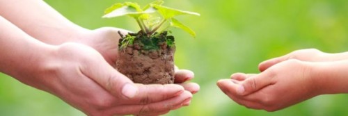 مرض السرطان by amani - Ourboox.com