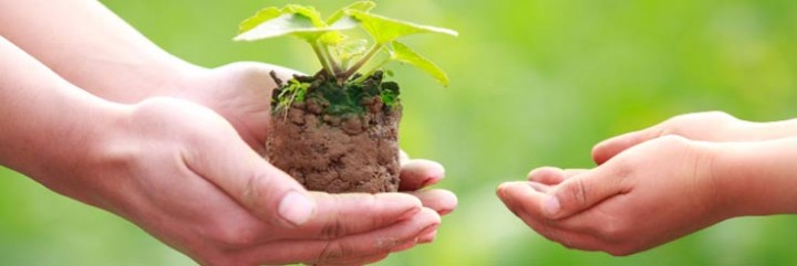 عيد الام by amani - Ourboox.com