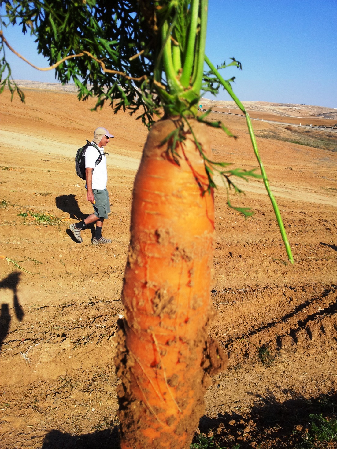 סבא אליעזר by talia - Ourboox.com