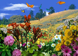 فصول الاربعة by asmaa - Ourboox.com