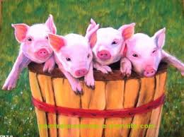 THE FIFTEEN CRAZY PIGS AND THE WOLF by JEAN-GILLES Mathis- BIAMBA Lucas - Ourboox.com