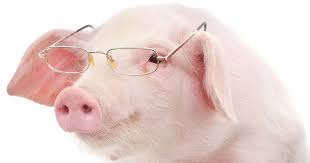 THE FIFTEEN CRAZY PIGS AND THE WOLF by JEAN-GILLES Mathis- BIAMBA Lucas - Ourboox.com