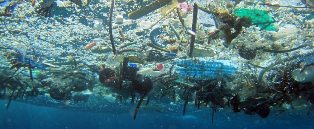 זיהום המים by yael elkon - Ourboox.com