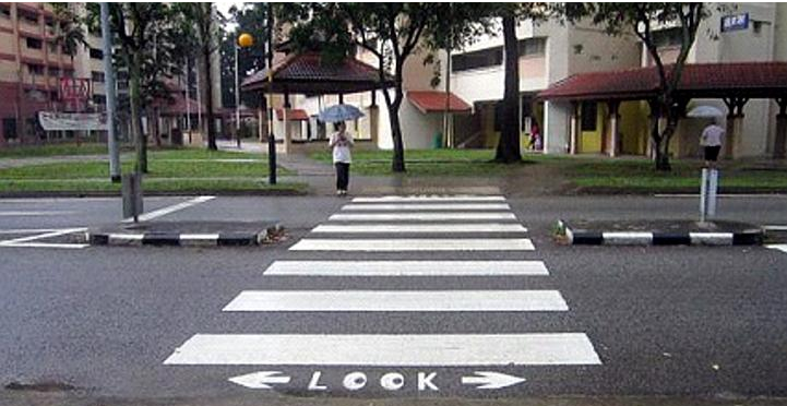 Road Safely Rules by Liam Markovich - Ourboox.com