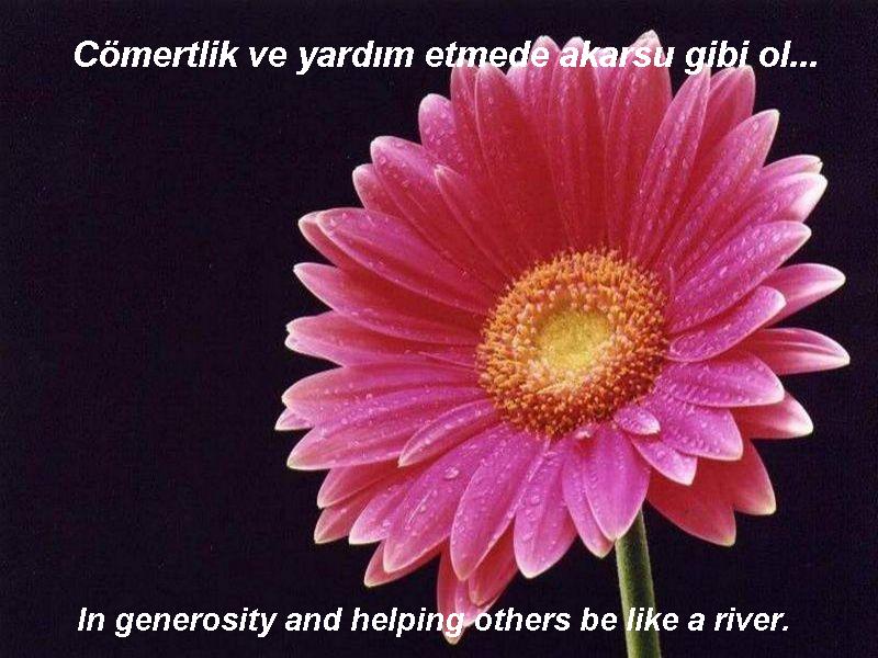 mevlana by seda aksu - Ourboox.com