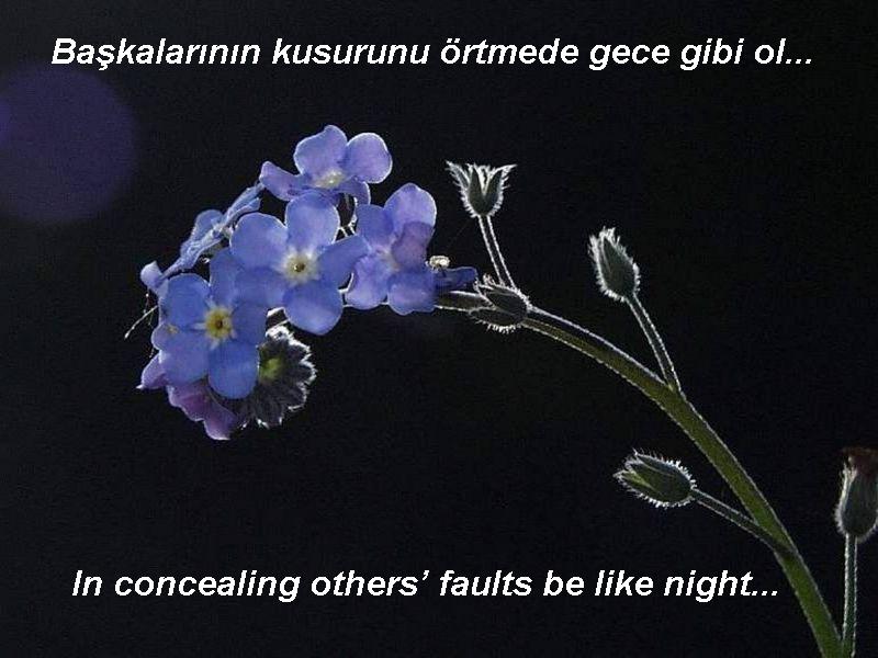 mevlana by seda aksu - Ourboox.com