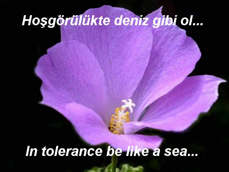 mevlana by seda aksu - Ourboox.com