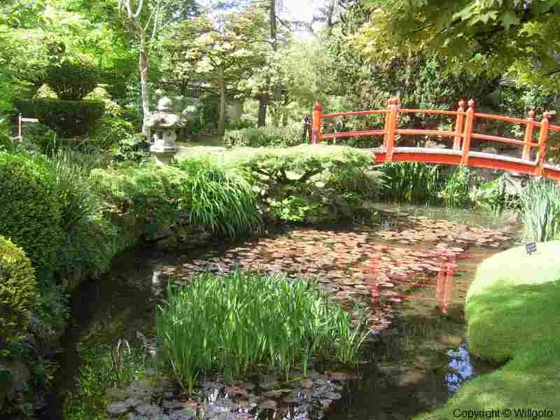 L’ Irlanda e le sue sfumature di verde by ciccine - Illustrated by ALICE E ANGELA - Ourboox.com