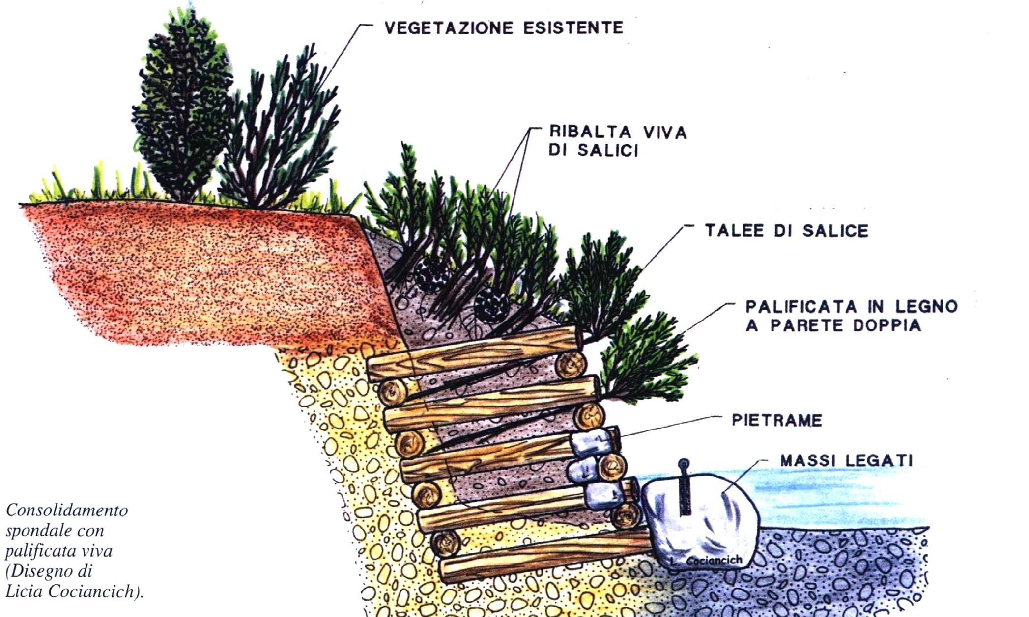 Ecologia & Pedologia by Damiano Massari - Ourboox.com