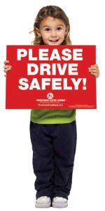 5 Road Traffic Safety Rules by Emily Shapir - Illustrated by Emily Shapir - Ourboox.com