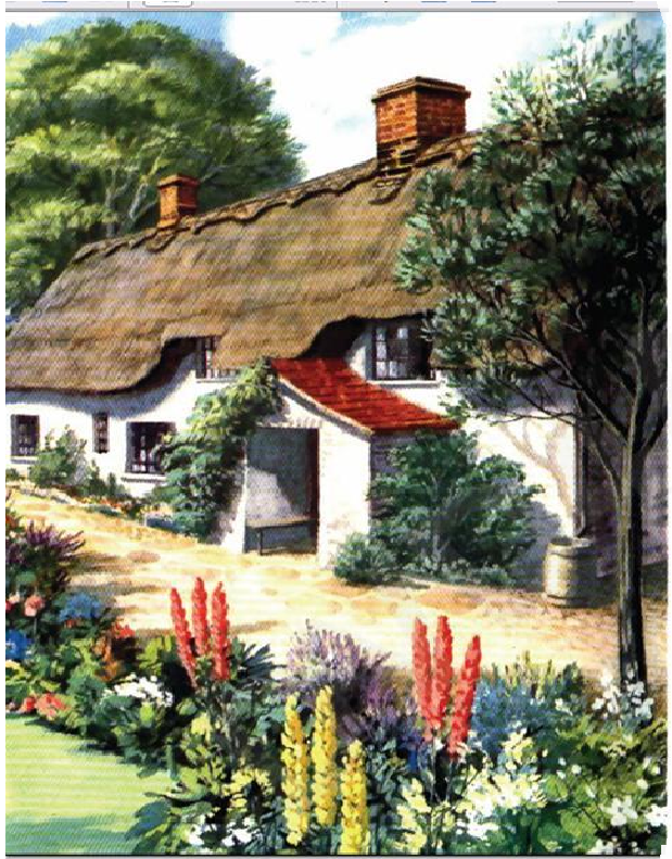 الحسناء والوحش by sondos bshara - Ourboox.com