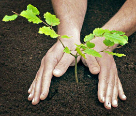 Identity Stories by Nili Amit - Ourboox.com