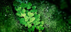 L’ Irlanda e le sue sfumature di verde by ciccine - Illustrated by ALICE E ANGELA - Ourboox.com