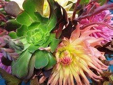 L’ Irlanda e le sue sfumature di verde by ciccine - Illustrated by ALICE E ANGELA - Ourboox.com