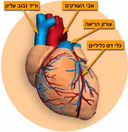 סיפורי מילים by Itay Tal - Ourboox.com