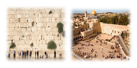 ירושלים שלנו by תלמידי בית ספר חתני פרס נובל, ראשון לציון - Illustrated by הכינו תלמידי כיתה ג