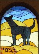 חיפש אתונות-איבד מלוכה by havoda - Illustrated by יואב יוסקוביץ - Ourboox.com