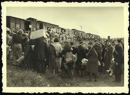 The Shanghai Jews by Roy Guy - Ourboox.com