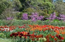 לשמור על הסביבה שלנו by maayan danan - Illustrated by מעין דנן - Ourboox.com