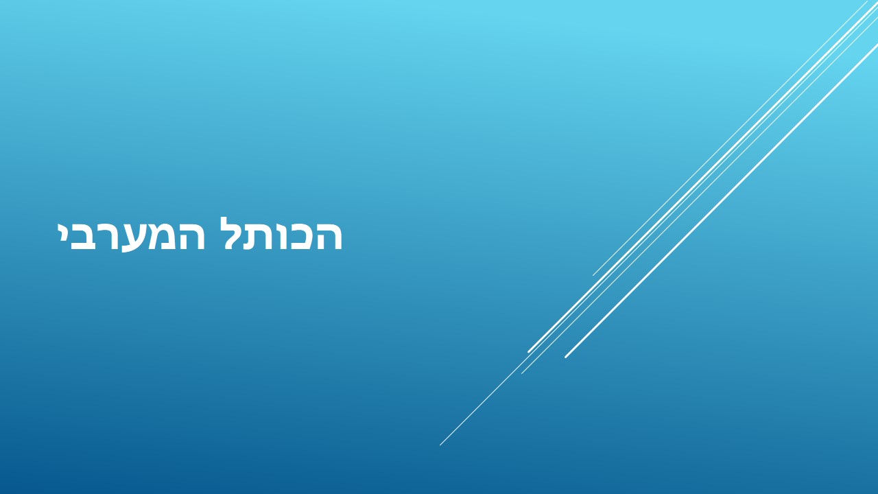 ירושלים שלנו by תלמידי בית ספר חתני פרס נובל, ראשון לציון - Illustrated by הכינו תלמידי כיתה ג