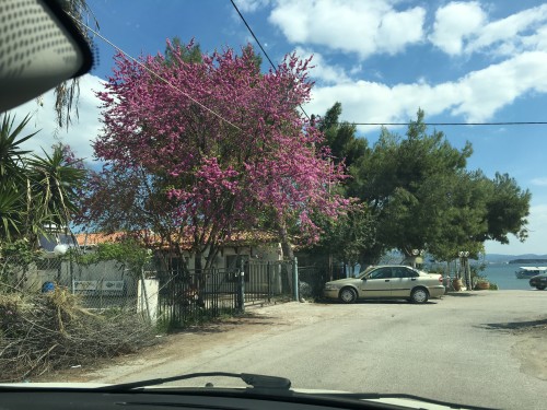 My Favoritest Things by Captain Hook - Ourboox.com