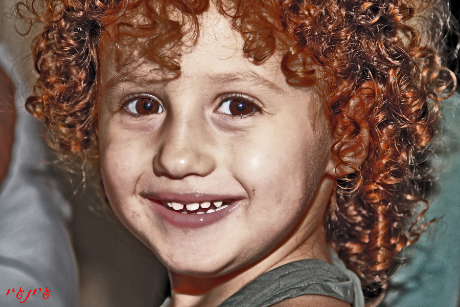 דוד by korall - Ourboox.com